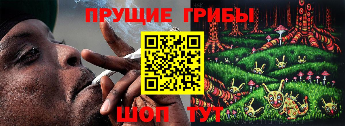 Галлюциногенные грибы Psilocybine cubensis Дзержинск