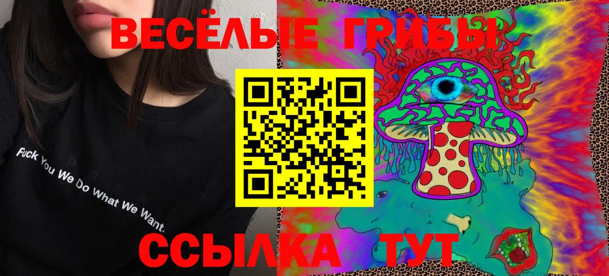 как найти закладки  Вход с VPN  Галлюциногенные грибы мухоморы  Дзержинск  Псилоцибиновые грибы прущие грибы 